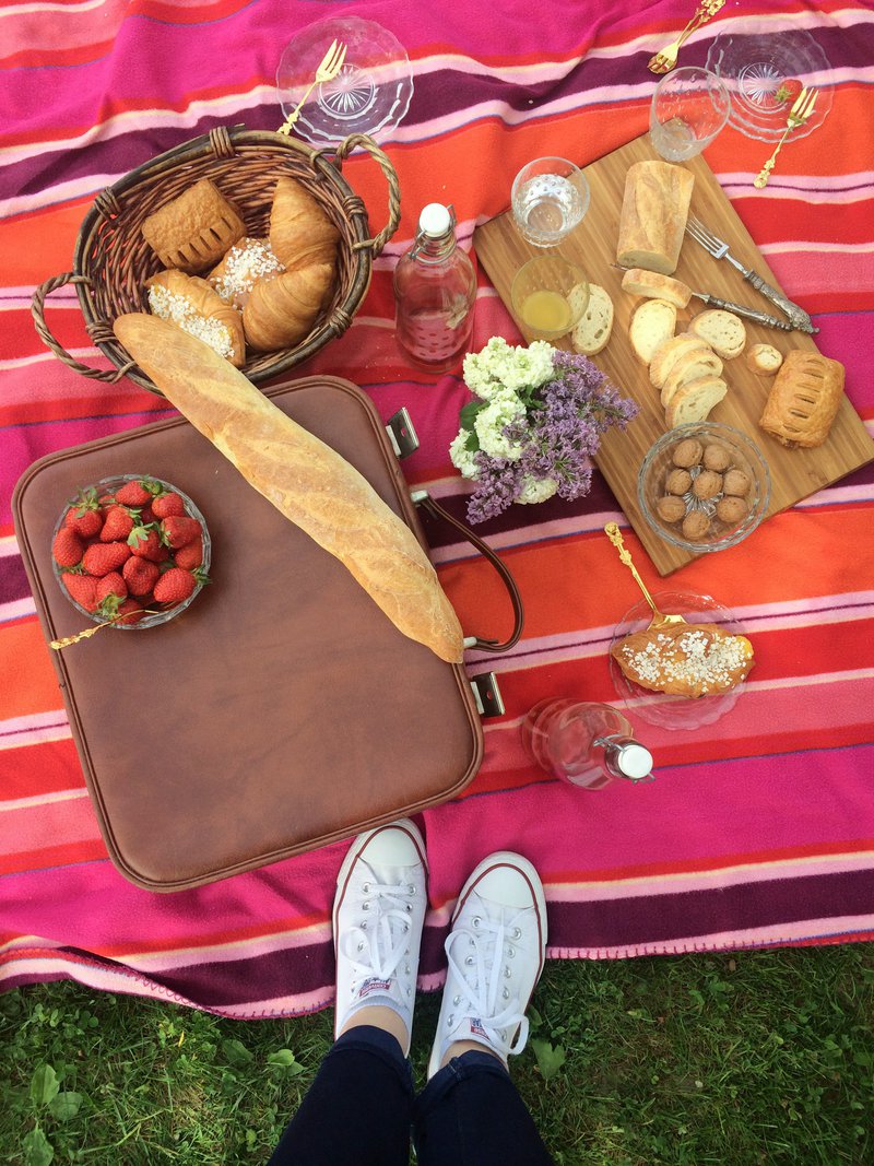 Hud piknik